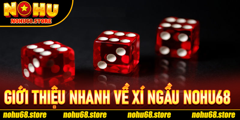 Giới Thiệu Nhanh Về Xí Ngầu Nohu68 Và Sức Hút Của Trò Chơi